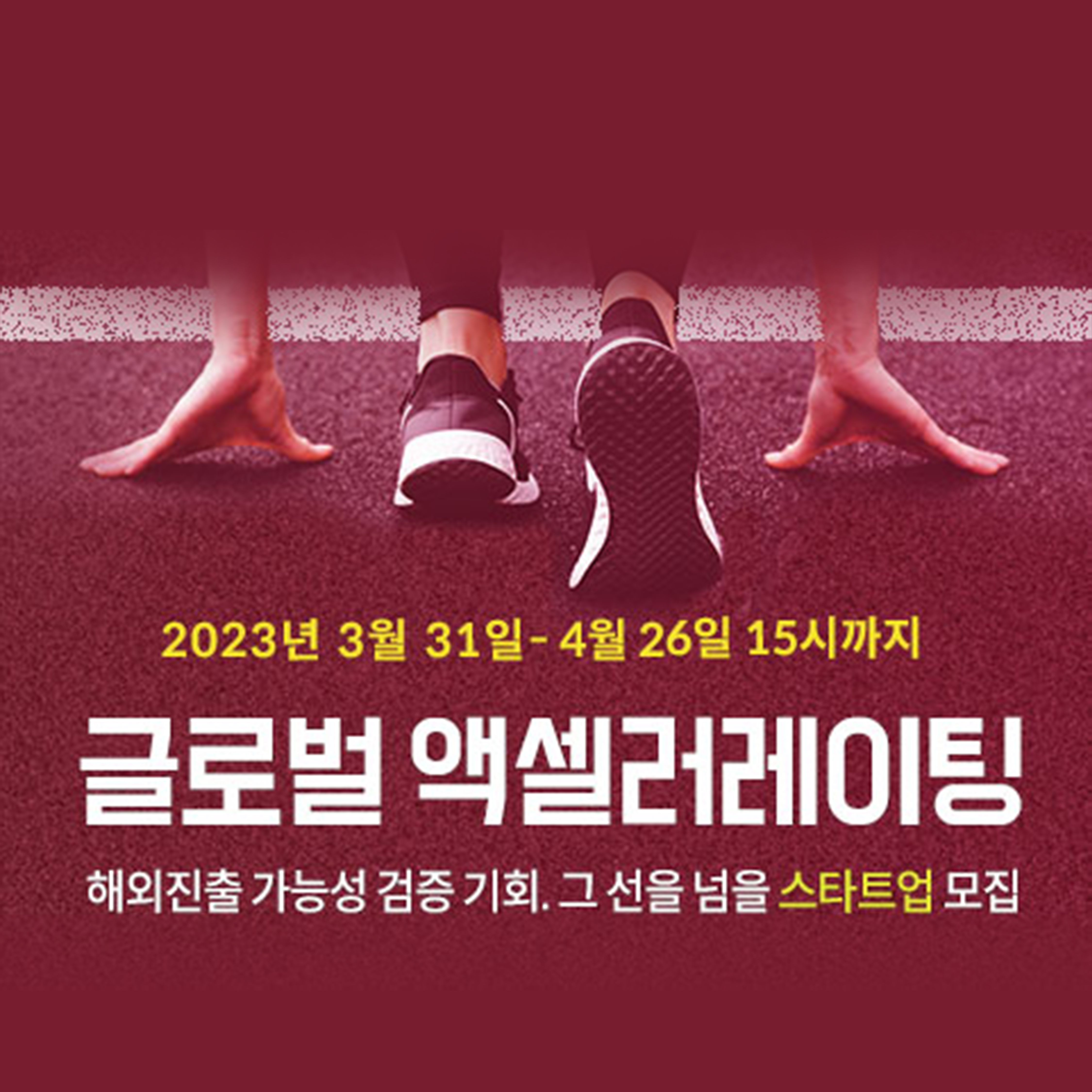 취·창업을 위한 맞춤형 프로그램을 제공합니다